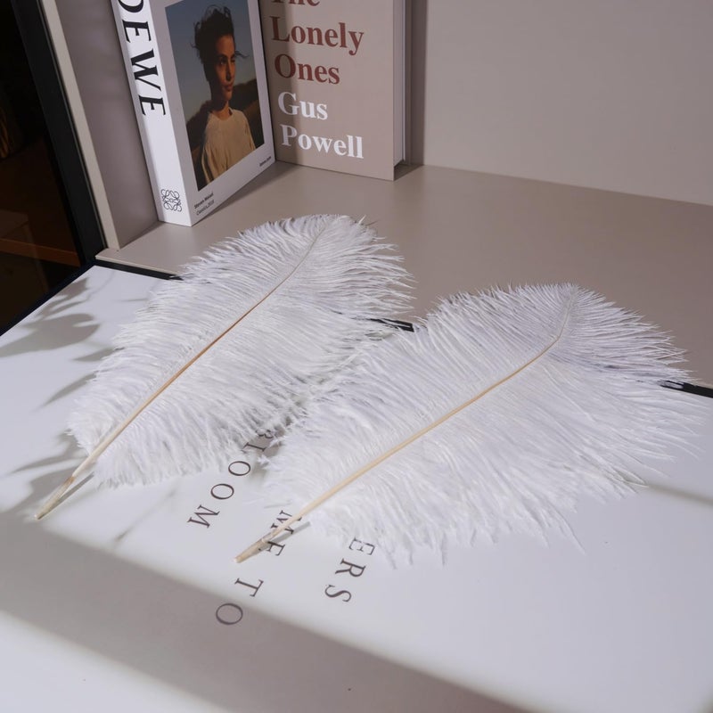 Shekyeon White 16-18inch Ostrich Feathers DIY Craft Large Feather for Wedding Party Centerpicecs Flower Arrangement and Easter Gatsbi Decortion Pack of 10 - Image 5